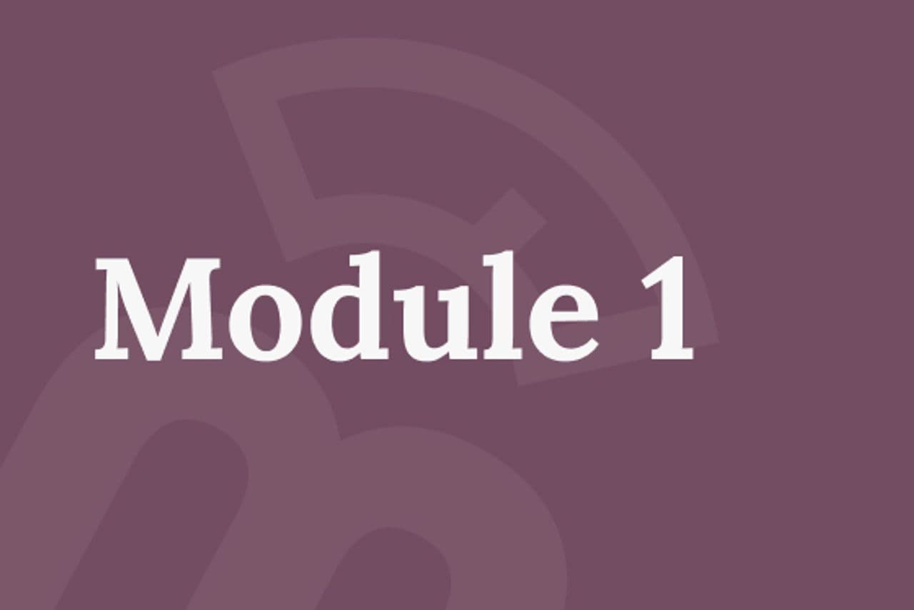 module 1