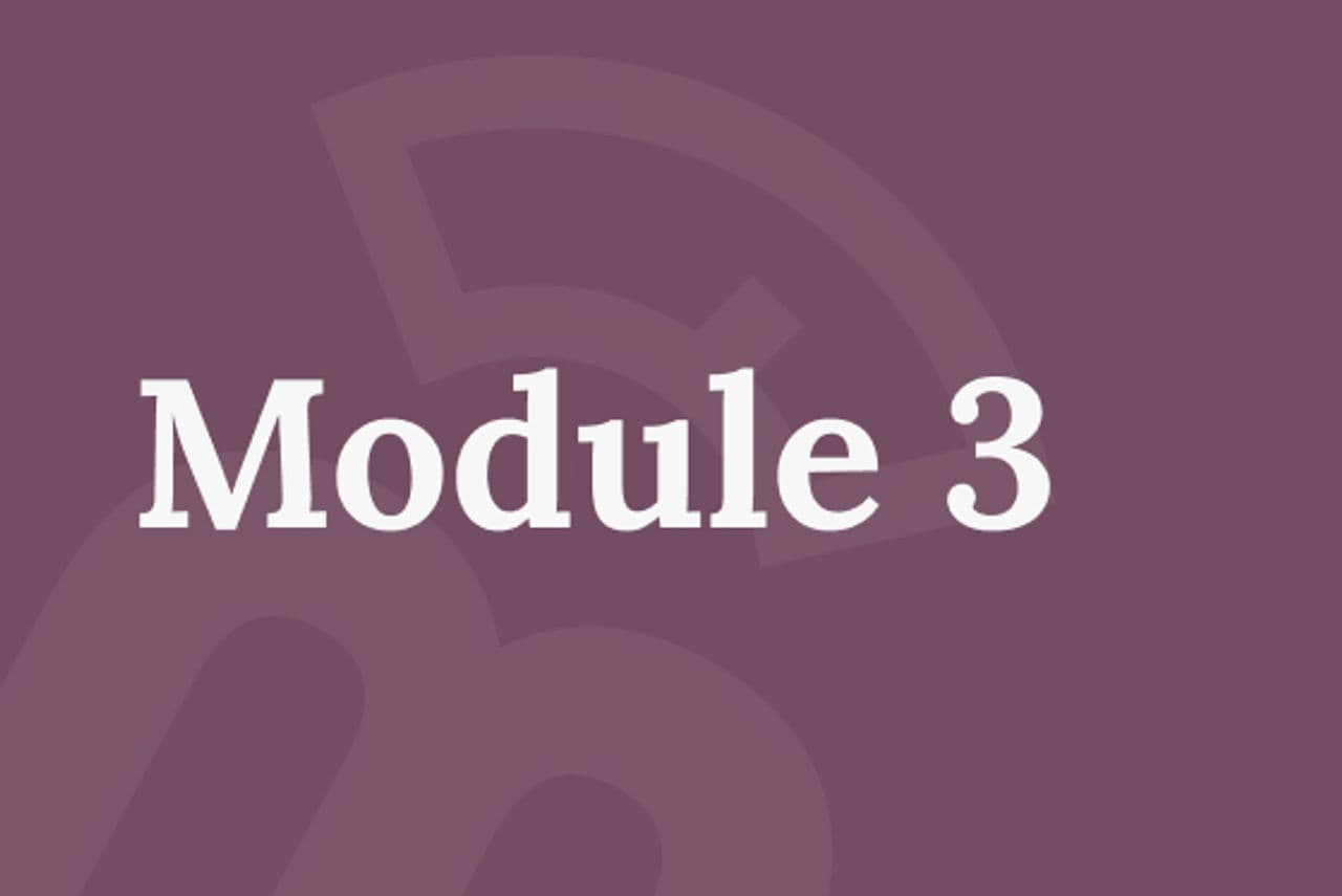 module 3