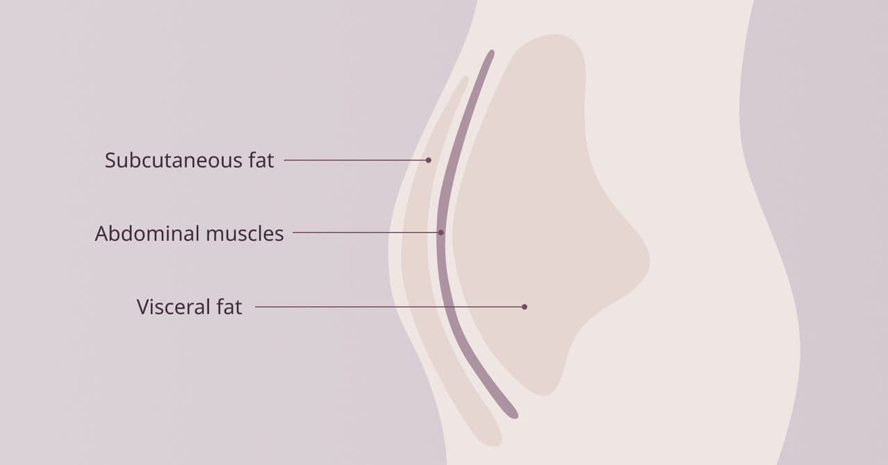 What is Visceral Fat?